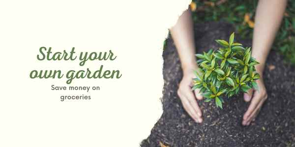 Start your own garden, save on groceries